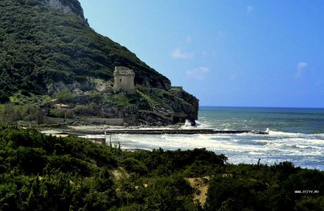 Paradisi