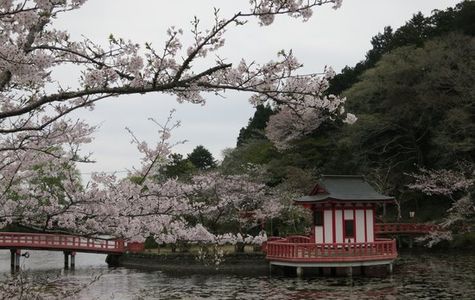 Mobara Park 1