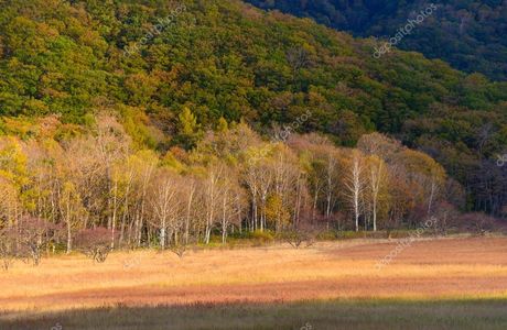 Odashirogahara Field