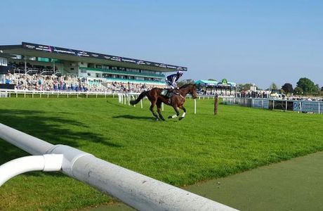 Uttoxeter Racecourse