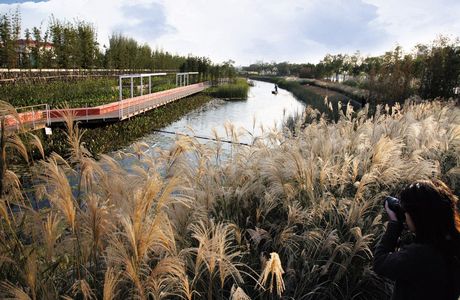 Hexing Station Landscape Park