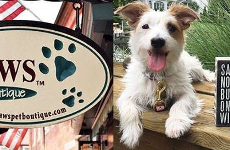 Paws Pet Boutique