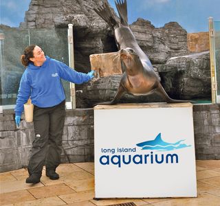 Long Island Aquarium