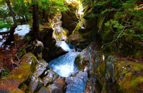 Christine Falls Viewpoint