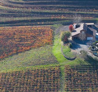 Pendleton Estate Vineyards and Winery