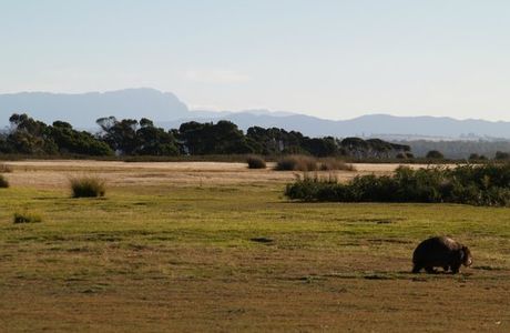 Narawntapu National Park