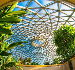 Brisbane Botanic Gardens Mt. Coot-tha