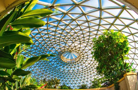 Brisbane Botanic Gardens Mt. Coot-tha