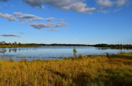 Koigi Bog Trail