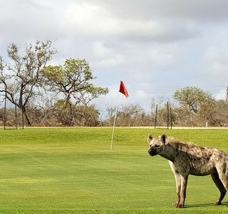 Skukuza Golf Course