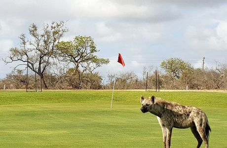 Skukuza Golf Course
