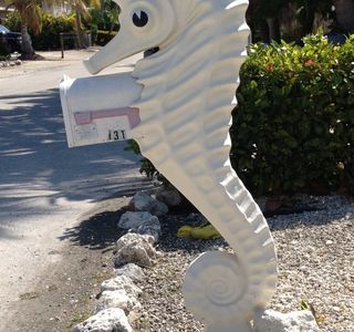 Seahorse Key