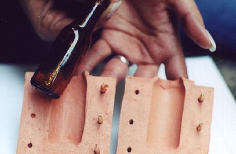 Mold Market