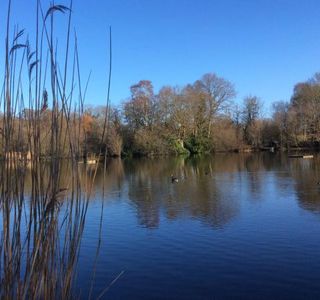 Acton Park