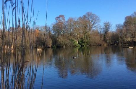 Acton Park