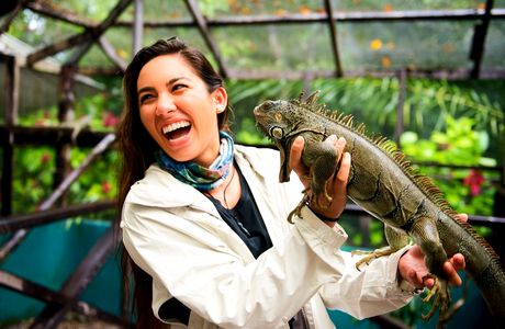 Green Iguana Conservation Project