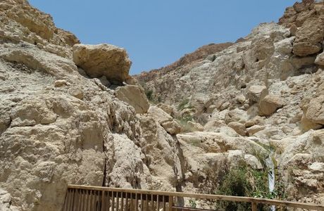 Ein Gedi Eco Center