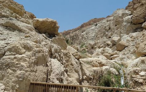 Ein Gedi Eco Center 1