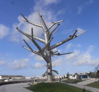 L'Arbre Empathique
