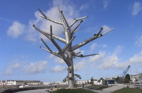 L'Arbre Empathique