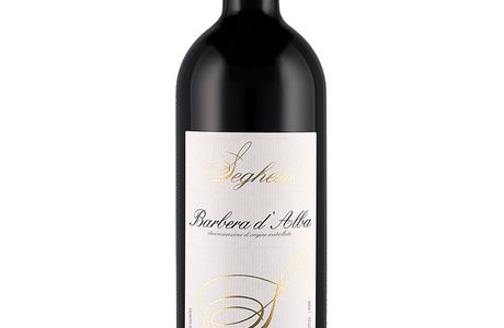 Rigo Vini