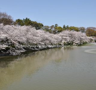 Meijo Park