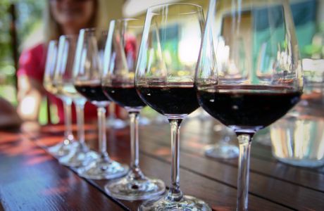 Stehleon Tasting