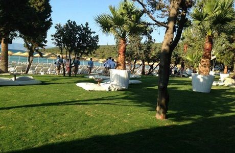 Quente Beach Club