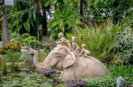 Phuket Botanic Garden