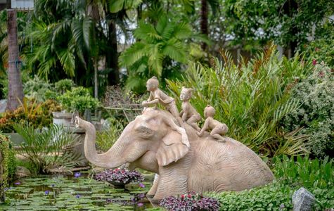 Phuket Botanic Garden 1