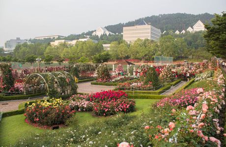 Togashi Rose Garden