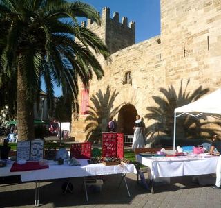 Alcudia Market