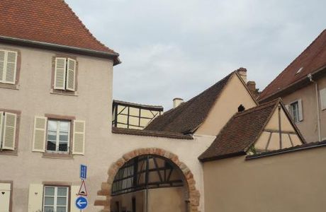 Museum d'Histoire Naturelle Et d'Ethnographie De Colmar