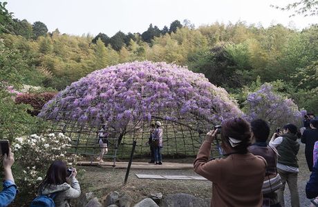 Habu Park