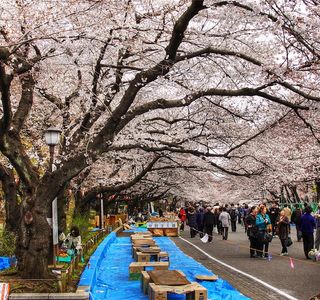 Ichibaike Park