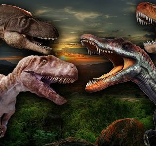 El Valle de los Dinosaurios
