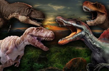 El Valle de los Dinosaurios