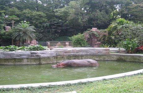 Guangzhou Zoo