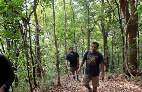 Brahmagiri Wildlife Sanctuary