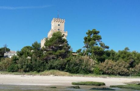 Area Marina Protetta Torre del Cerrano