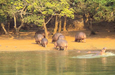 Nandankanan Zoological Park