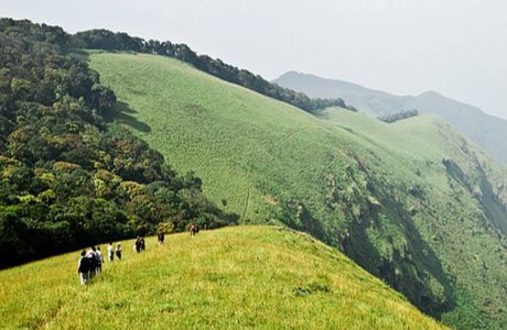 Kudremukh National Park