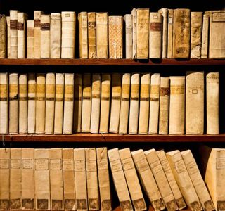 Libreria la pulce d'acqua