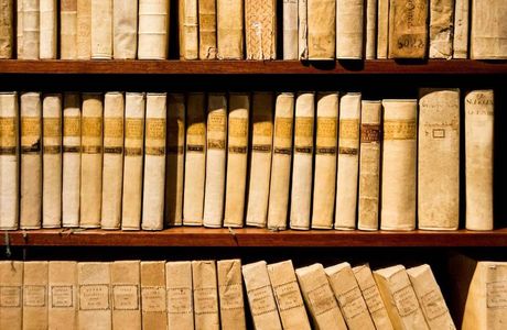 Libreria la pulce d'acqua