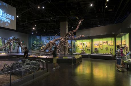 Tianjin Natural History Museum