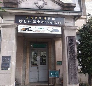 Nawa Insect Museum