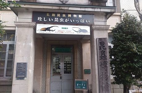 Nawa Insect Museum
