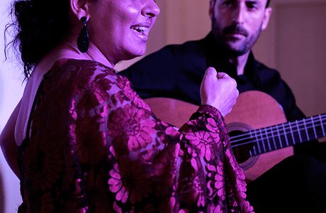 Casa Del Arte Flamenco