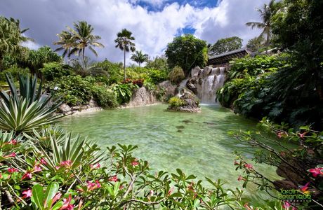 Jardin Botanique de Deshaies