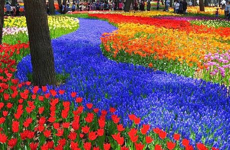 Park of Flowers and Springs - Reina de Flores
